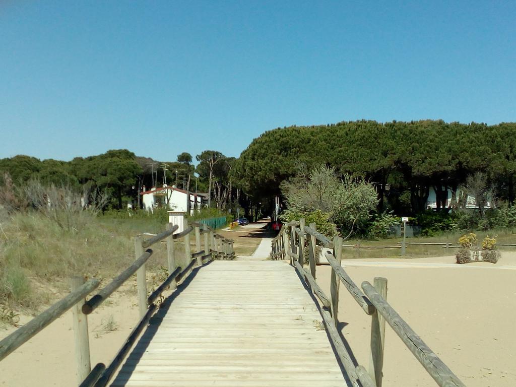 Villa Trifoglio 利多迪迪耶索洛 外观 照片