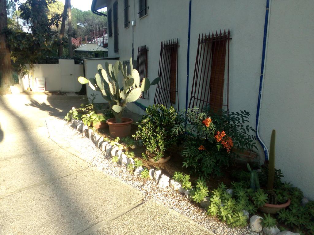 Villa Trifoglio 利多迪迪耶索洛 外观 照片